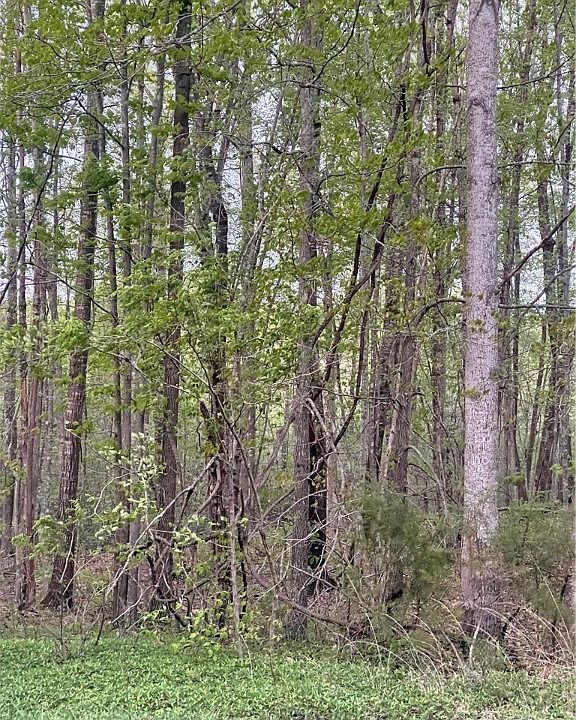 2nd image of 0 Union Hill Rd