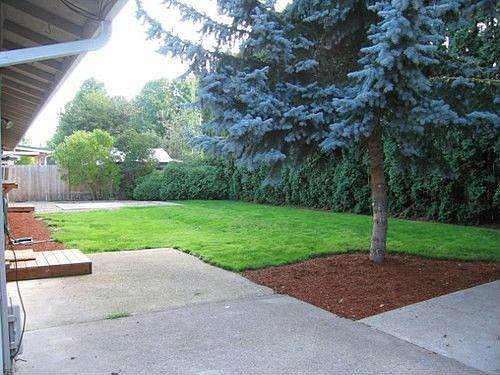Large Backyard