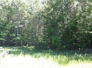 Forest Hills Dr, Spruce, MI