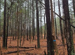 160 Allmond Ln, Alpharetta, GA 30004