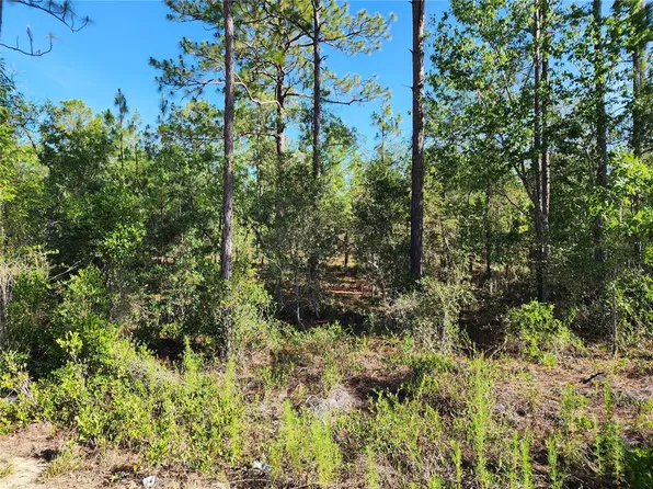 SW Edgewater Blvd Lot 26, Dunnellon, FL 34431