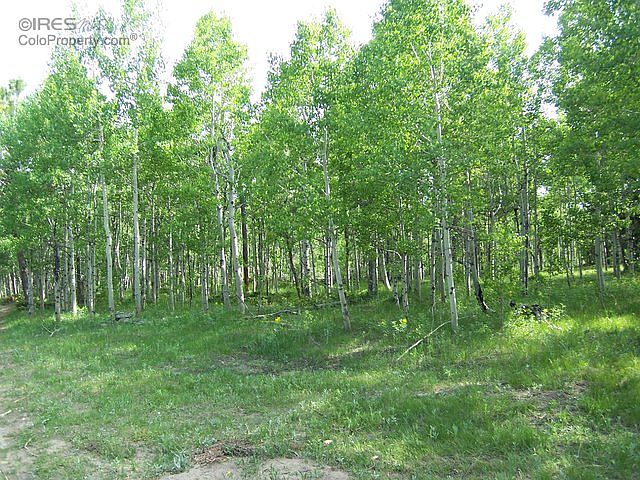 1st image of 450 Creekwood Trl