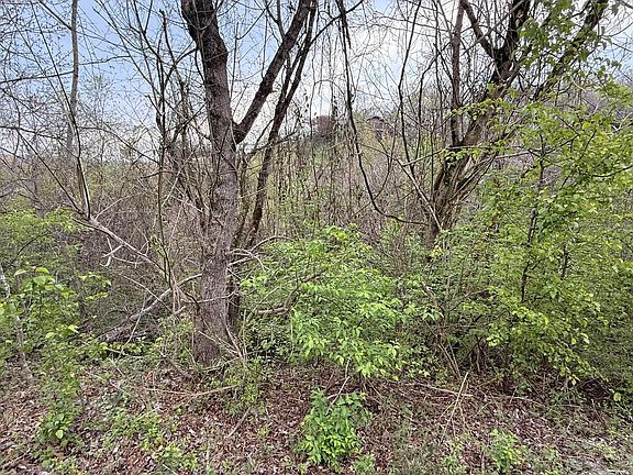 5th image of LOT 4 Hideaway Ridge Cir