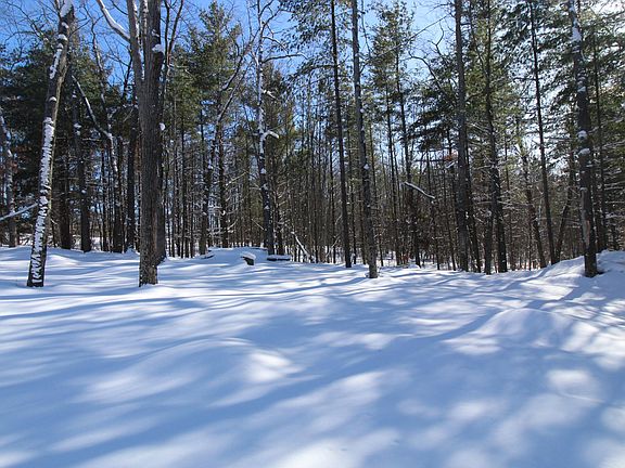 4th image of 4521 Skyline Rd