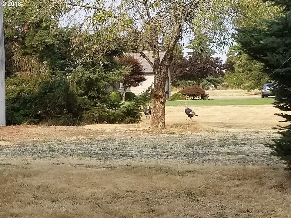 2nd image of 27410 Louden Ln