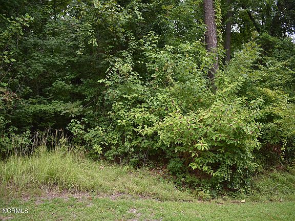 3rd image of Lot 50 Cottonwood Drive