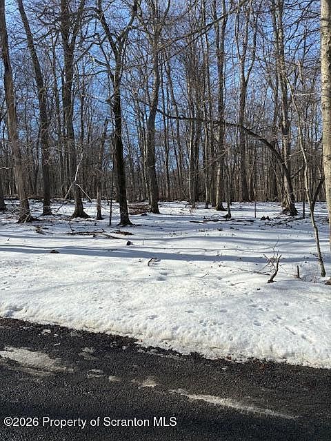 2nd image of 17 Teakwood Rd