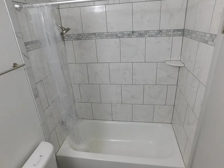Master bathroom tub and shower