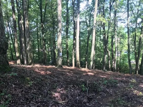 25 Piney Knob Dr, Spring City, TN 37381
