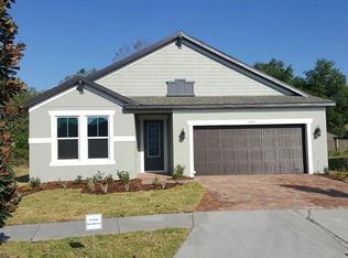 10675 Cardera Dr, Riverview, FL 33578