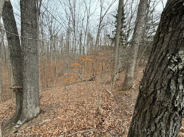 LOT 25 Oak Hollow Rd, Moneta, VA 24121