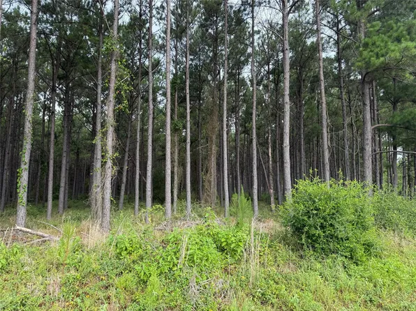 162 Taylor Trl Lot 162, Lovelady, TX 75851