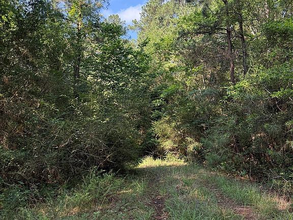 3rd image of Timberwood Ln Lot 9