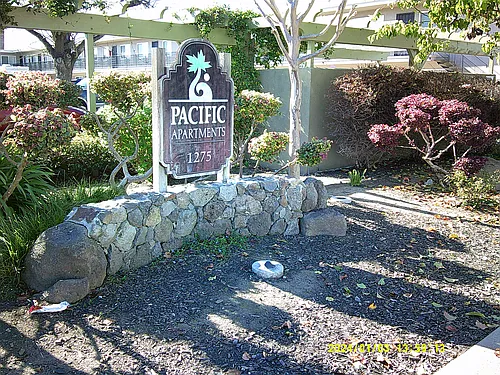 Pacific Apartments Photo 1