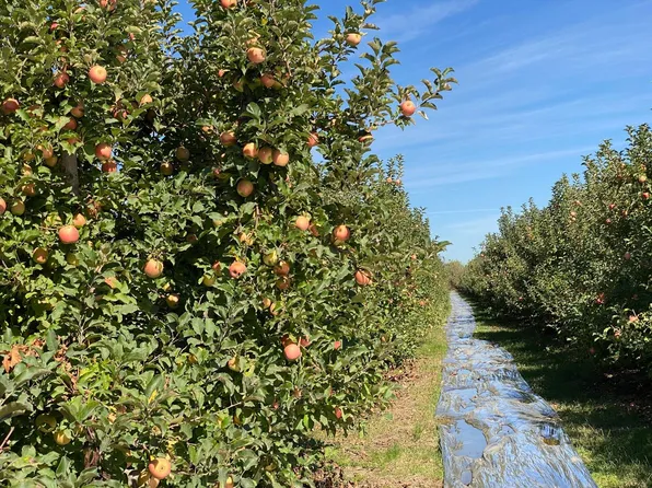 S Carrolton Rd, Ripon, CA 95366