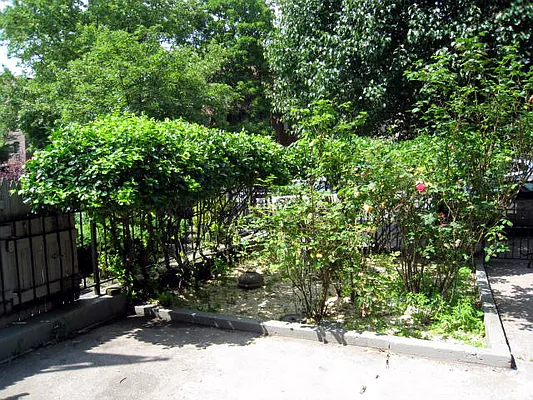 Rented by Realty Collective | media 2