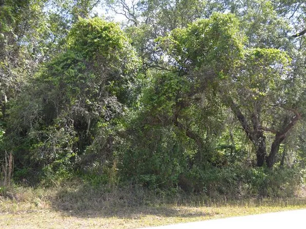 1799 NE Voss Oaks Cir, Arcadia, FL 34266