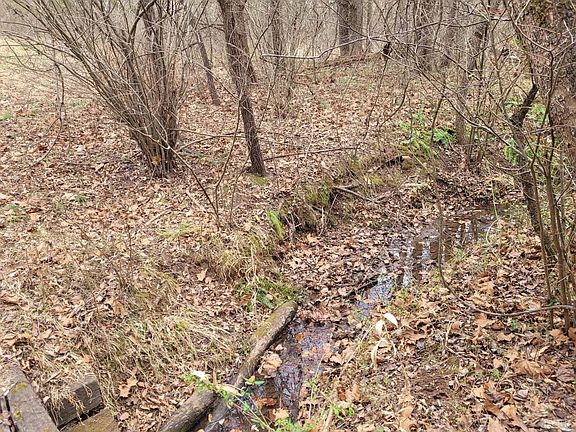 2nd image of 0 Maddox Rd