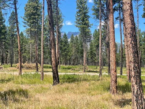 Nhn Janes Way, Hamilton, MT 59840