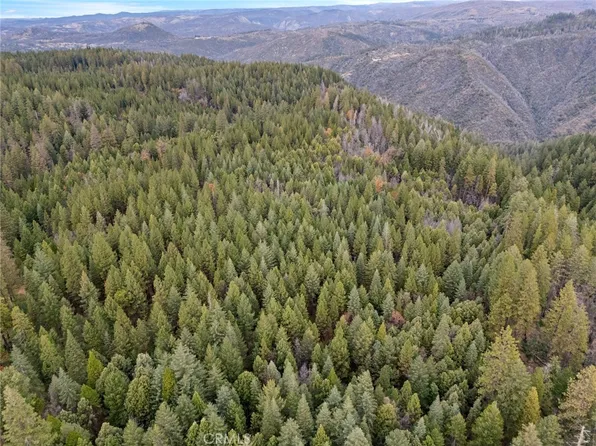 0 Old Forbestown Rd Lot 44, Forbestown, CA 95941