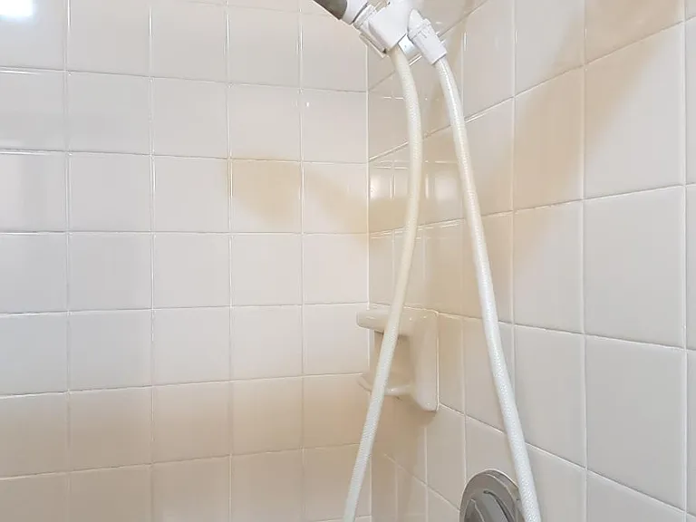 Master Shower
