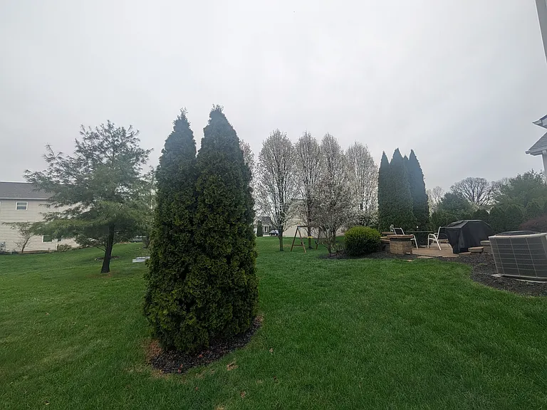1701 Daffodil Pl — Photo 7
