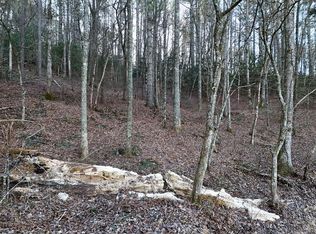 2 Papas Mountain Rd, Blairsville, GA 30512