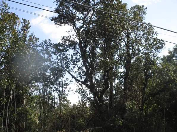 Lehua St Lot 6859, Mountain View, HI 96771