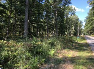 1 S Star Lake Dr, Baldwin, MI 49304