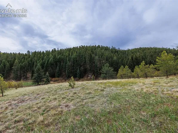 521 University Dr, Woodland Park, CO 80863