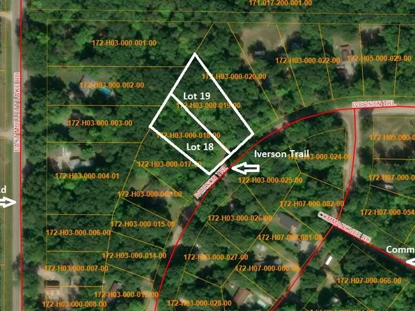 4322 Iverson Dr, Indian River, MI 49749