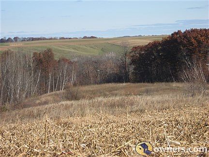 This would be a good building site.