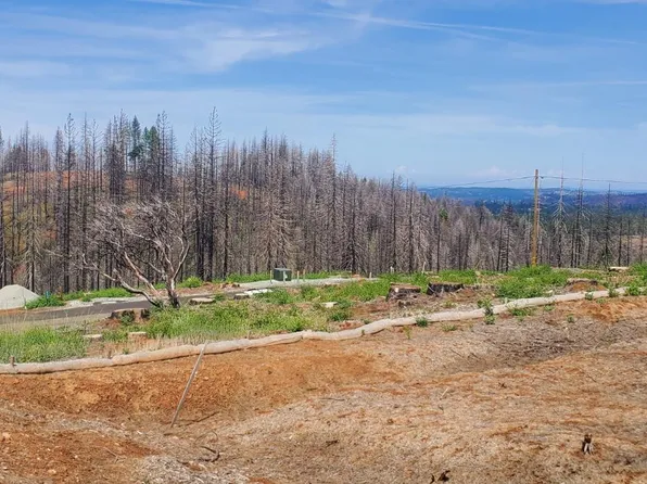5024 Rollingwood Dr, Grizzly Flats, CA 95636