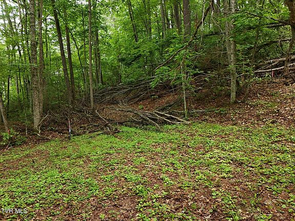3rd image of Willow Ln