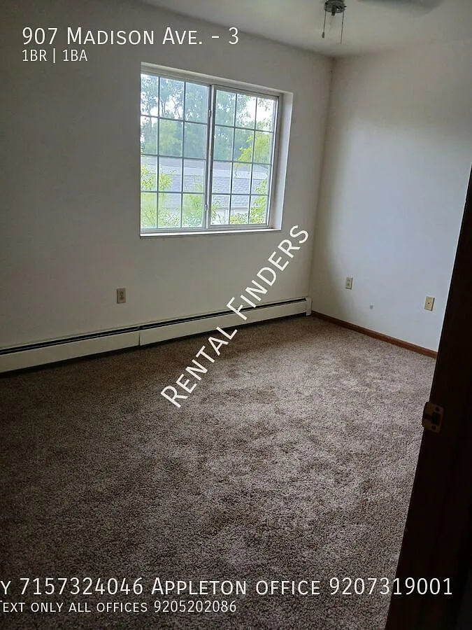1 bed, $995 — Photo 3