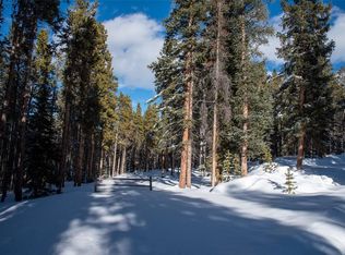 614 Spruce Creek Rd, Breckenridge, CO 80424
