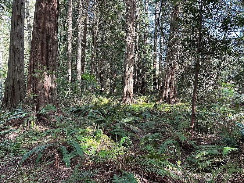 3rd image of 0 Lot 31 NW Lakeness