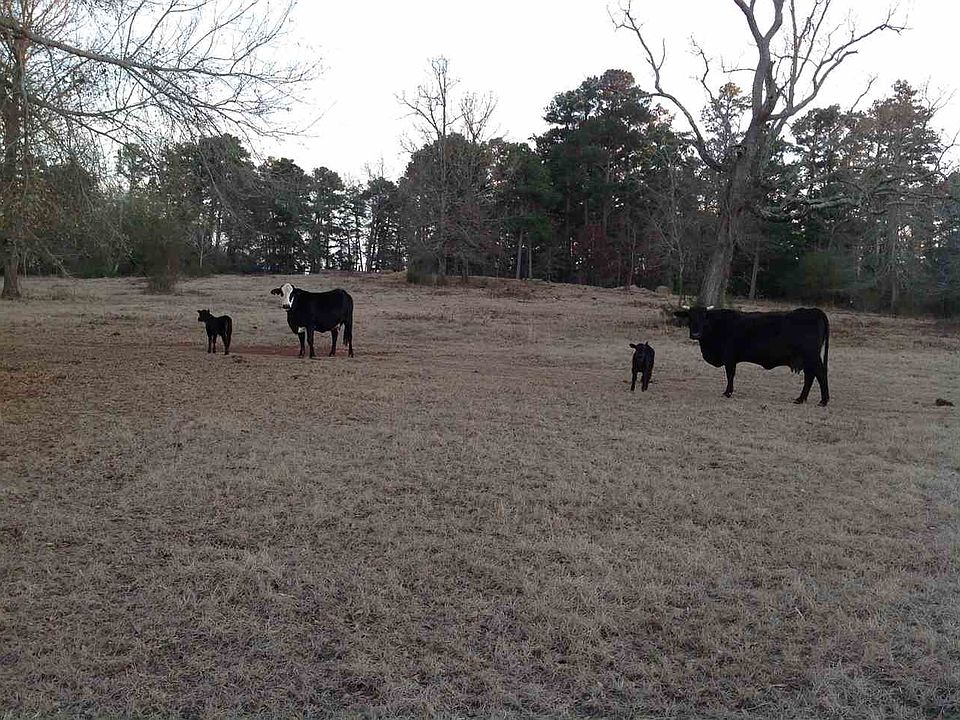 1st image of 2333 County Road 4623