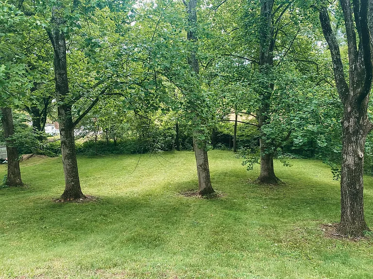 372 Old Haw Creek Rd — Photo 14