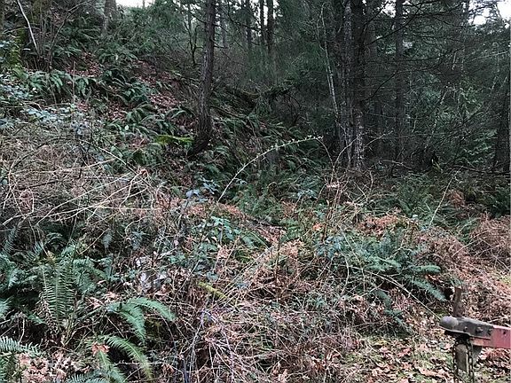 5th image of 1291 Island Dr
