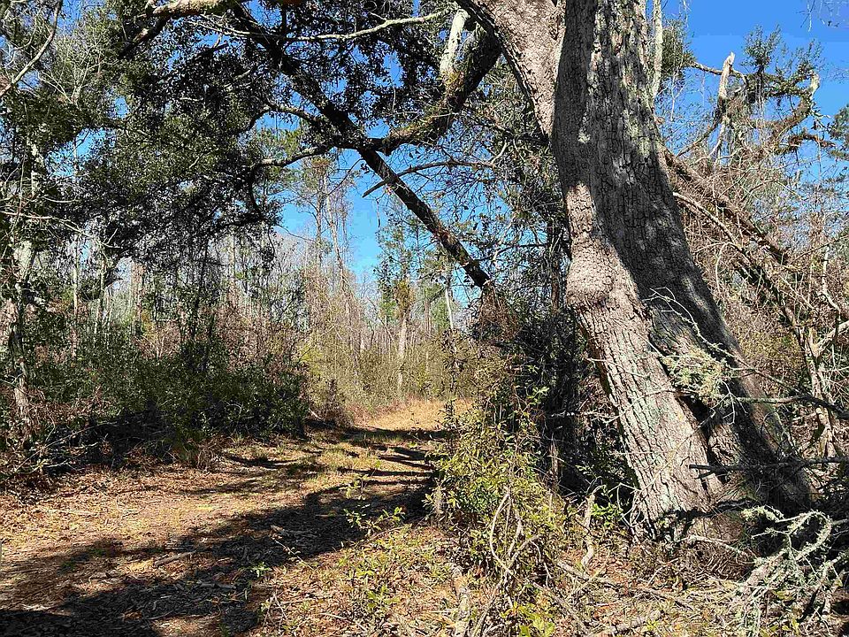 1st image of SW Cow Rd