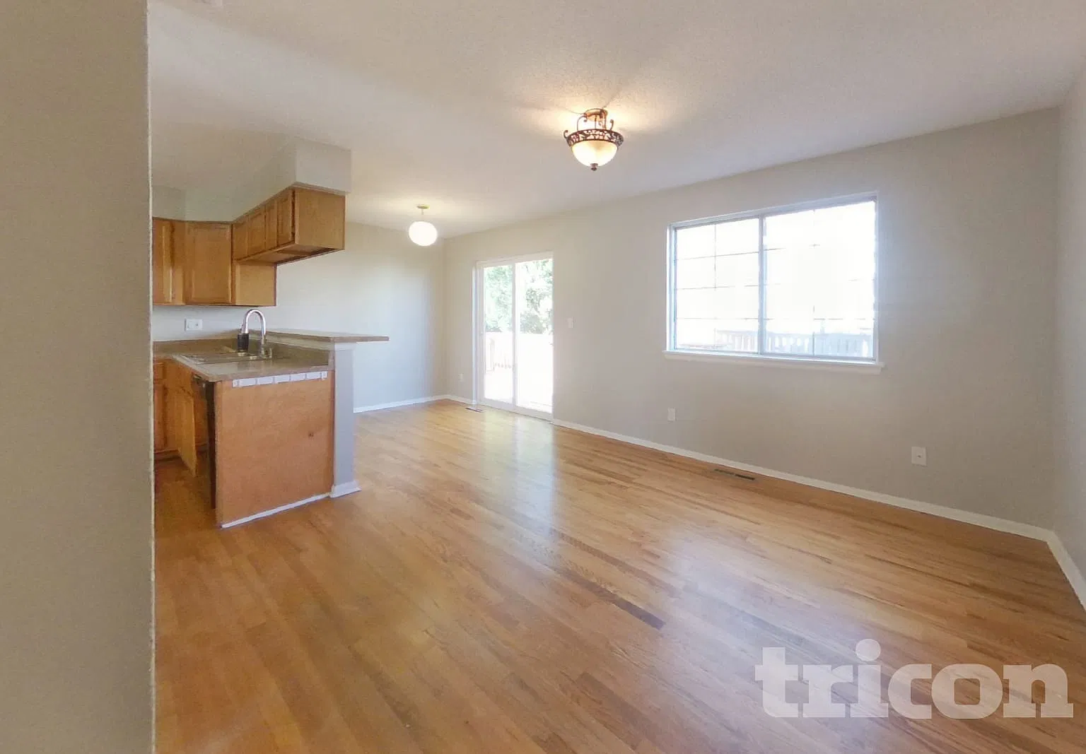 8381 White Cloud St Highlands Ranch CO — Photo 3