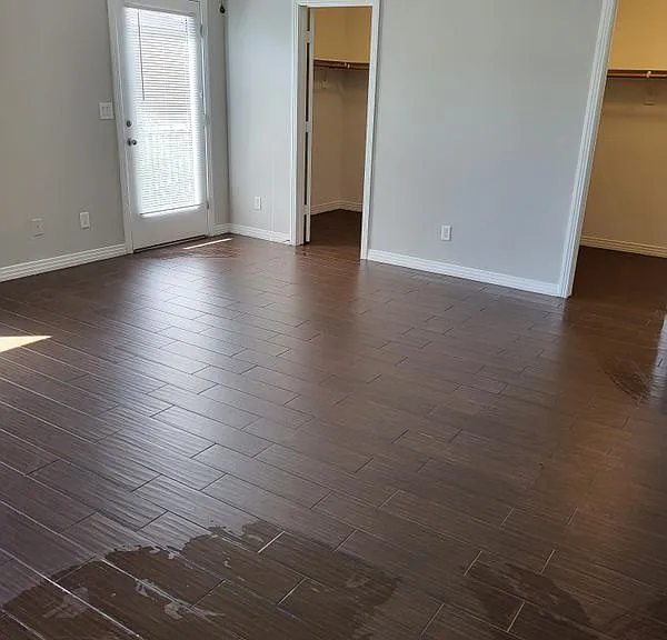 1137 Evergreen Cove St — Photo 12