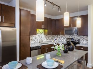 510 Richmond Ave APT 315, Houston, TX 77006