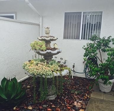 2nd image of 3824 Rosemary Way