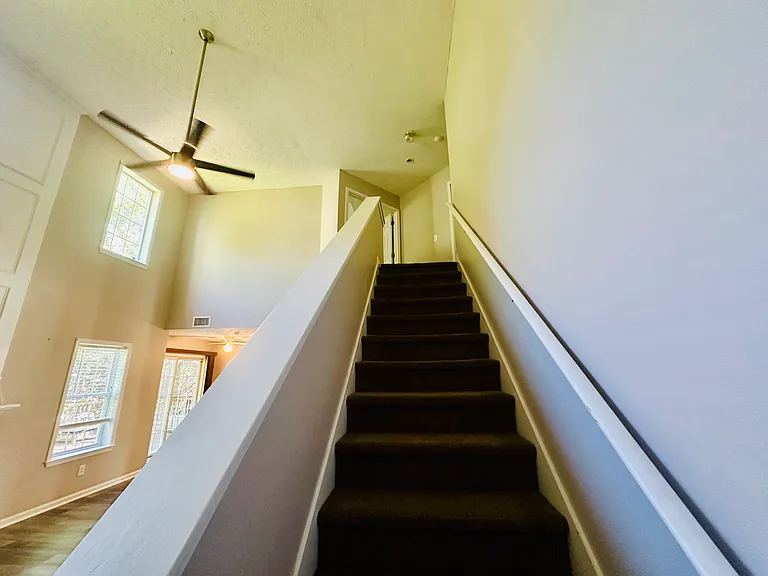 2809 White Blossom Ct — Photo 10