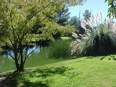 View One of Lake