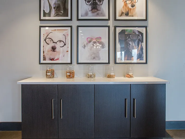 Tail-Wagging Perks Included
