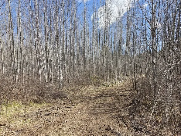 2 Prairie Lake Rd, Tomahawk, WI 54487