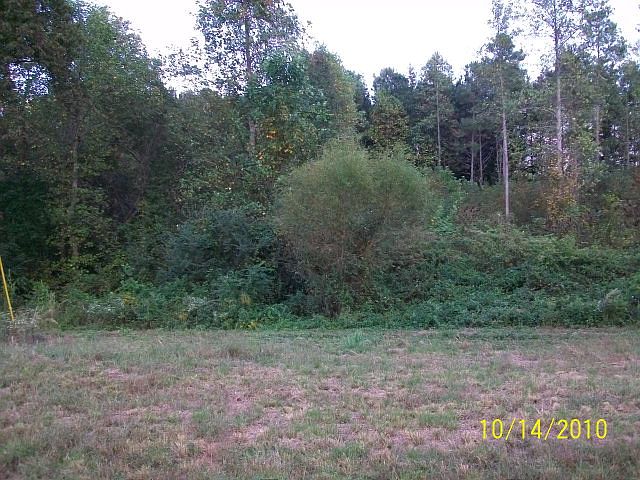 1st image of 134 Georgie Dr